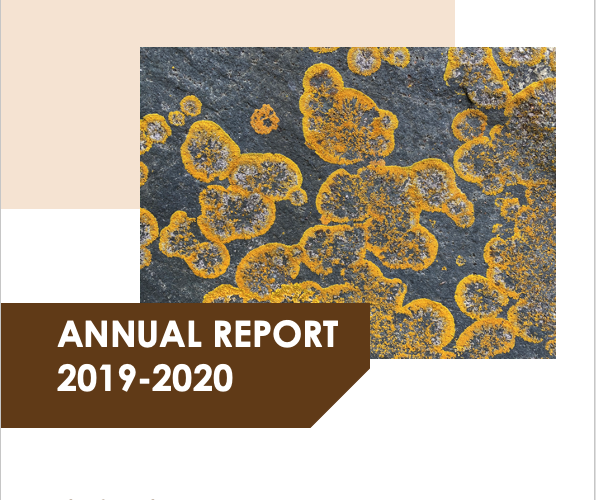 Annual report for 2019-20