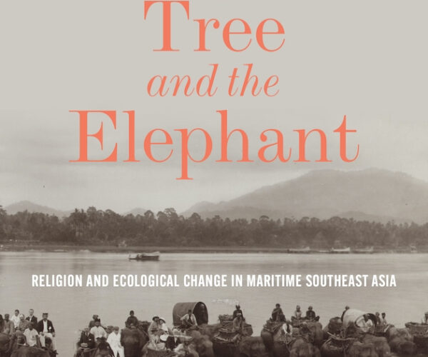 Online book talk: Zakaria, The Camphor Tree and the Elephant