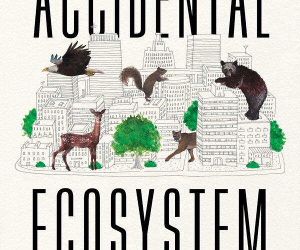 Online book talk: Alagona, Accidental Ecosystem
