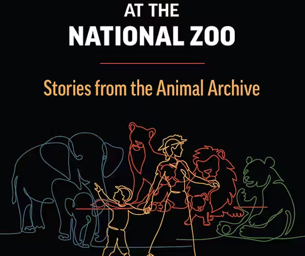 Online book talk: Vandersommers, Entangled Encounters at the National Zoo