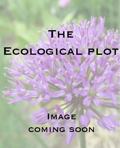 Online book talk: Miller, The Ecological Plot