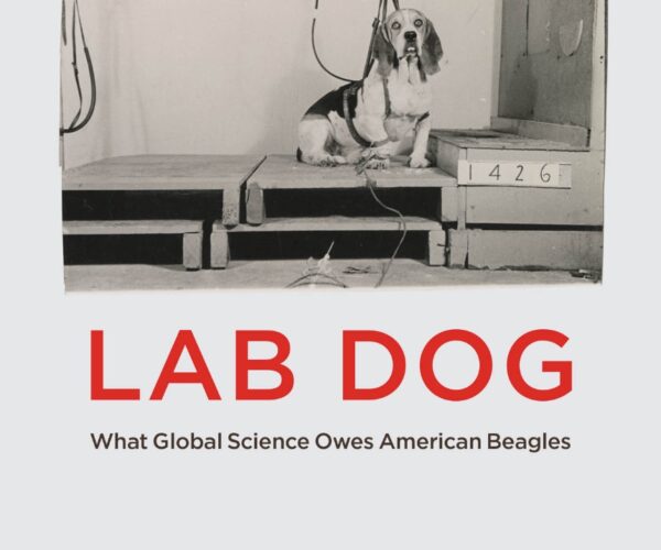 Online book talk: Bolman, Lab Dog