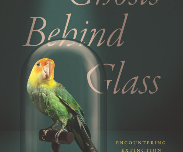 Online book talk: Jørgensen, Ghosts Behind Glass