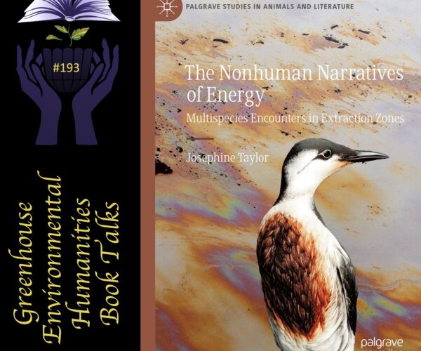 Online book talk: Taylor, Nonhuman Narratives of Energy