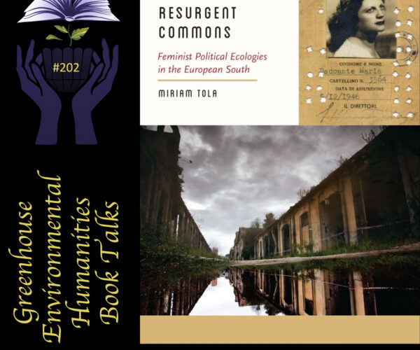 Online book talk: Tola, Resurgent Commons